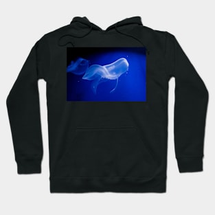 Translucent jellyfish in deep blue water Hoodie